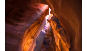 Est ipsa eum qui quae.